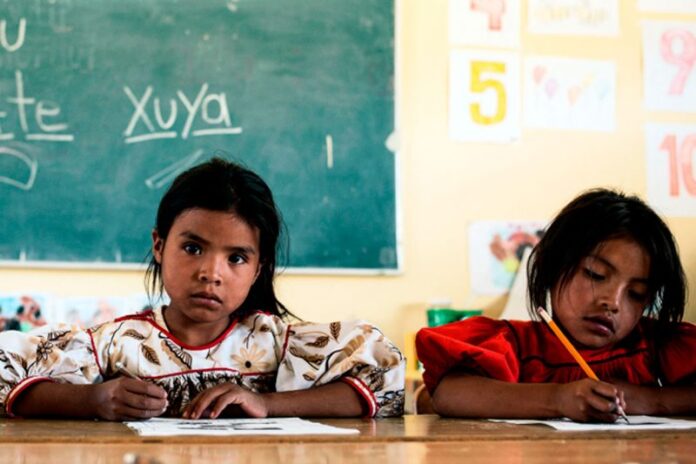 grietas-educacion-Mexico-800x533