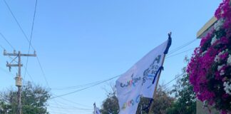 Promoveremos que la Secretaría de Economía apoye a pequeños empresarios: Paco Gutiérrez de Velasco