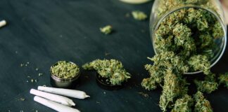 Suprema Corte avala la legalización del uso lúdico de la mariguana