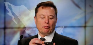 Elon Musk ‘aterriza’ en México: Starlink obtiene derechos de emisión de internet en el país
