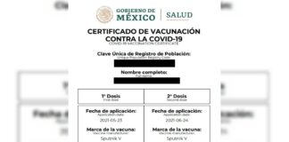 Certificado de vacunación contra COVID en México: cómo tramitar y descargar en internet