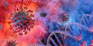 Epsilon: la variante del coronavirus y cómo evade las vacunas