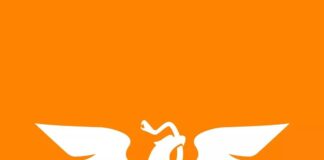 Movimiento Ciudadano se deslinda de Rafael Gómez Casas