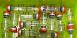 Vacuna SinoVac: anticuerpos caen en 6 meses y necesitaría refuerzo