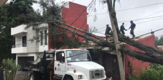 Responden a llamados de ayuda Ayuntamiento de Xalapa y Guardia Nacional