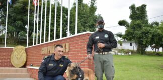 En el nivel internacional, destaca SSP en especialización de agentes caninos