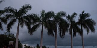 Ingreso del Huracán ‘Grace’ originara lluvias puntuales fuertes en Veracruz