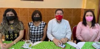 Urge PT al gobierno de Veracruz implementar políticas públicas para contrarrestar violencia de género