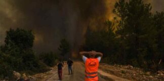 Grecia controla los incendios, pero Europa del sur sigue en alerta