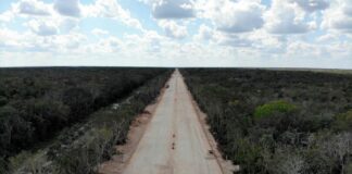 Tren Maya y Sembrando Vida están dando alegría en Tabasco: AMLO Aspectos de la construcción del tramo del tren maya en construcción a la altura de la carretera Kalkini- Cancún. Foto Cuartoscuro / Archivo
