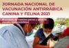 Convoca Ayuntamiento de Minatitlán a jornadas de vacunación antirrábica