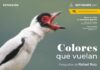 Casa de Cultura de Coatepec presentará la exposición Colores que vuelan, de Rafael Ruiz