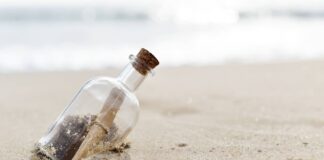 Encontraron en Hawaii un mensaje enviado en una botella desde Japón hace 37 años