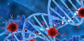 Gran Bretaña comienza el ensayo con prueba de sangre más grande del mundo para 50 tipos de cáncer