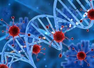 Gran Bretaña comienza el ensayo con prueba de sangre más grande del mundo para 50 tipos de cáncer