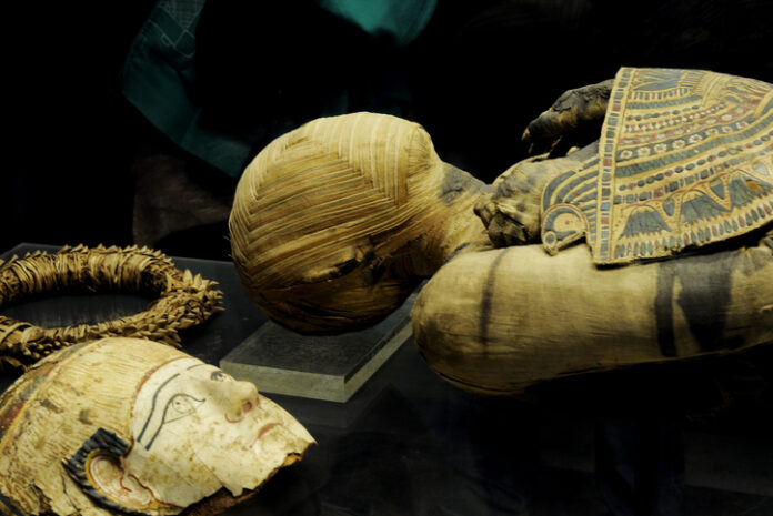Egypt mummy with mask