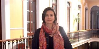 Vida submarina y diversidad lingüística en la programación de Casas de la Cultura IVEC