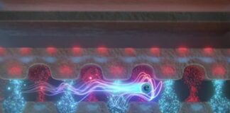 Revelan la naturaleza cuántica de la interacción fotón/electrón libre