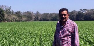 Exige PT liberación de Pasiano Rueda Canseco