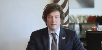 El anarcocapitalista Javier Milei agita la política argentina