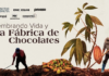 Sembrando vida y la fábrica de chocolates