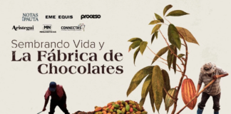 Sembrando vida y la fábrica de chocolates