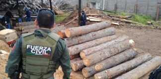 En Operativo conjunto, Seguridad Pública y PROFEPA clausuran aserradero en Altotonga
