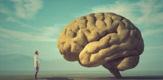 Plasticidad cerebral o cómo podemos aprender durante toda la vida