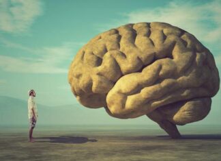 Plasticidad cerebral o cómo podemos aprender durante toda la vida