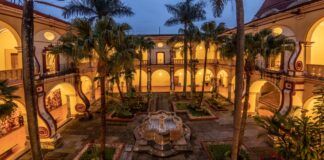 Celebra IVEC 29 aniversario del Museo de Arte del Estado de Veracruz