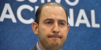 Audio de Marko Cortés con derrota en elecciones 2022 genera reacciones en el PAN