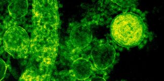 Inevitablemente, variante Ómicron llegará a México: especialista