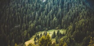 Medio ambiente: 5 buenas noticias sobre la lucha contra el cambio climático (contadas por científicos y expertos)