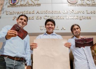Galardonan a investigadores mexicanos por crear un material sustituto del cuero