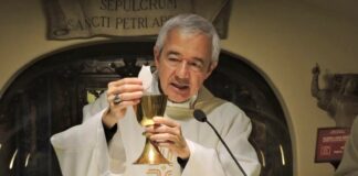 Papa Francisco nombra a Jorge Carlos Patrón Wong nuevo arzobispo de Xalapa