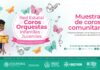 Invita IVEC a disfrutar del talento de la niñez veracruzana con las presentaciones de la Red de Coros Comunitarios