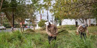 Dan mantenimiento a jardineras de camellones centrales en Coatzacoalcos