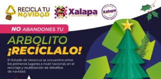 “Recicla tu Navidad”; ubica tu centro de acopio