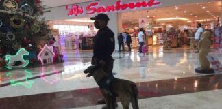 2 mil detenidos y casi 2 mil dosis de droga decomisadas durante Operativo Guadalupe-Reyes