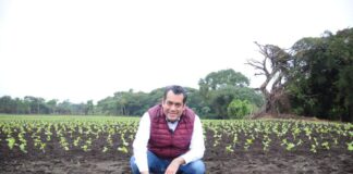 A preservar el patrimonio ambiental de Veracruz convoca Sergio Gutiérrez Luna