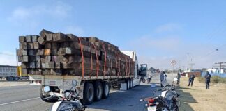 Detiene SSP a tres personas por tráfico ilegal de madera, en Perote