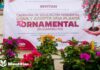 Sigue la campaña «Dona y Adopta una planta ornamental» en Minatitlán