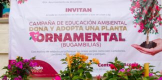 Sigue la campaña «Dona y Adopta una planta ornamental» en Minatitlán