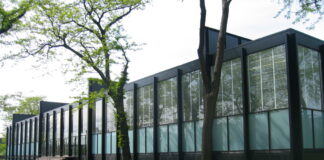 Un nuevo implante inalámbrico consigue devolver la vista por primera vez