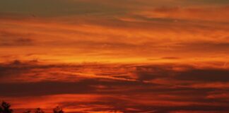 Promueve Museo Teodoro Cano a los poetas veracruzanos