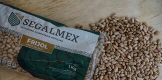 Transa Segalmex con $245 millones; contratan empresa sin empleados