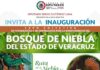 Respalda Sergio Gutiérrez Luna defensa del bosque de niebla en Veracruz