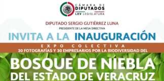 Respalda Sergio Gutiérrez Luna defensa del bosque de niebla en Veracruz