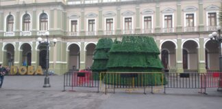 Exhorta Ayuntamiento de Córdoba a propietario, retirar estructura del pino de Navidad