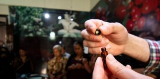 En Córdoba capacitan a cafeticultores de la Sierra para mejorar su calidad de producción